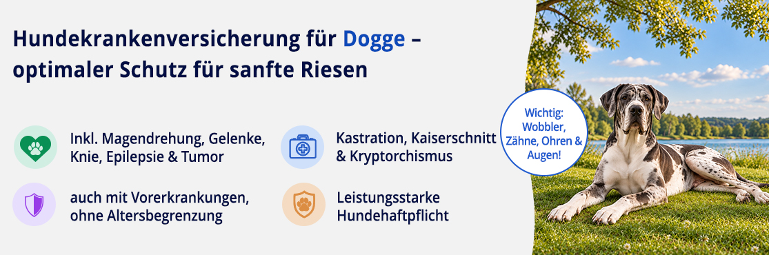 Hundekrankenversicherung für Dogge