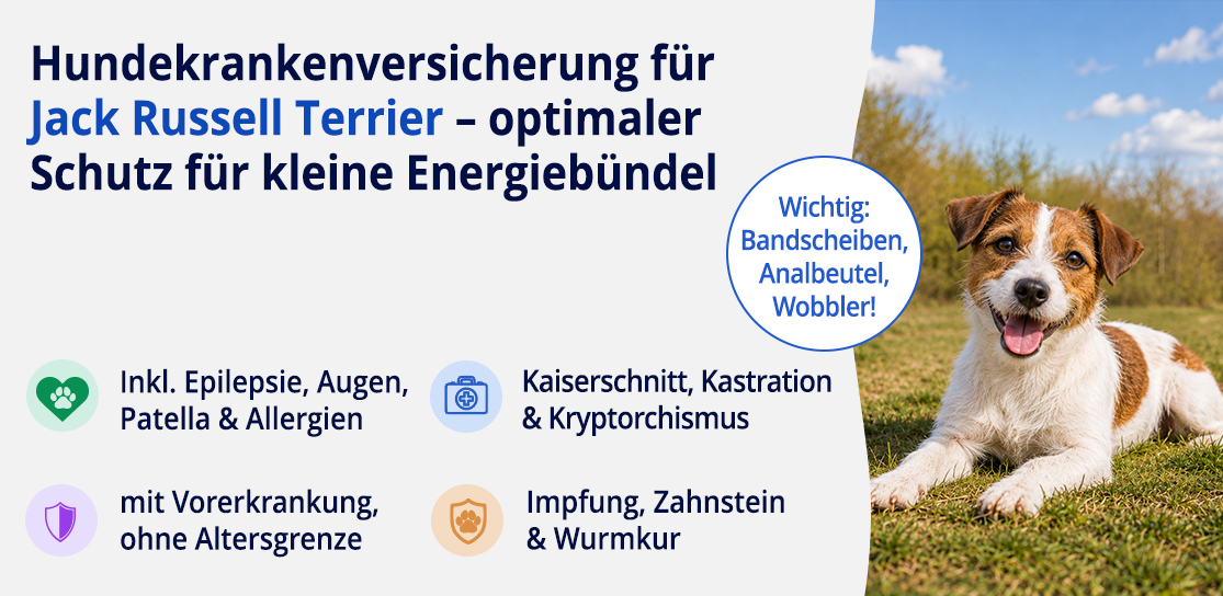 Hundekrankenversicherung für Jack Russell Terrier