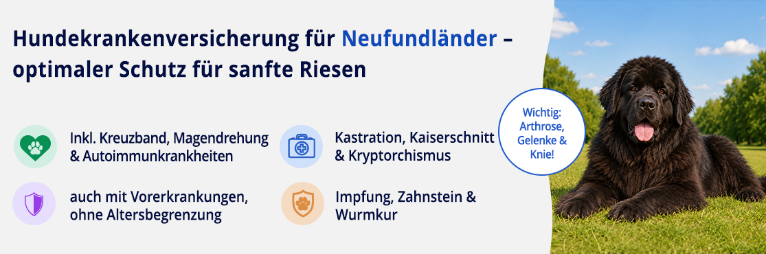 Hundekrankenversicherung für Neufundländer